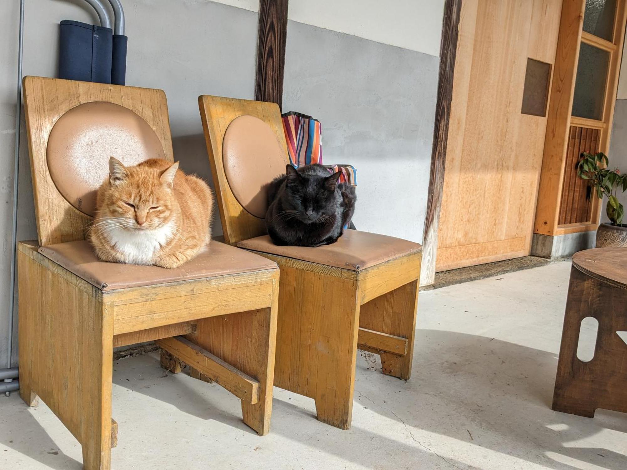 猫と図書館のある宿 草地家 Kusachike Minamiawaji Extérieur photo