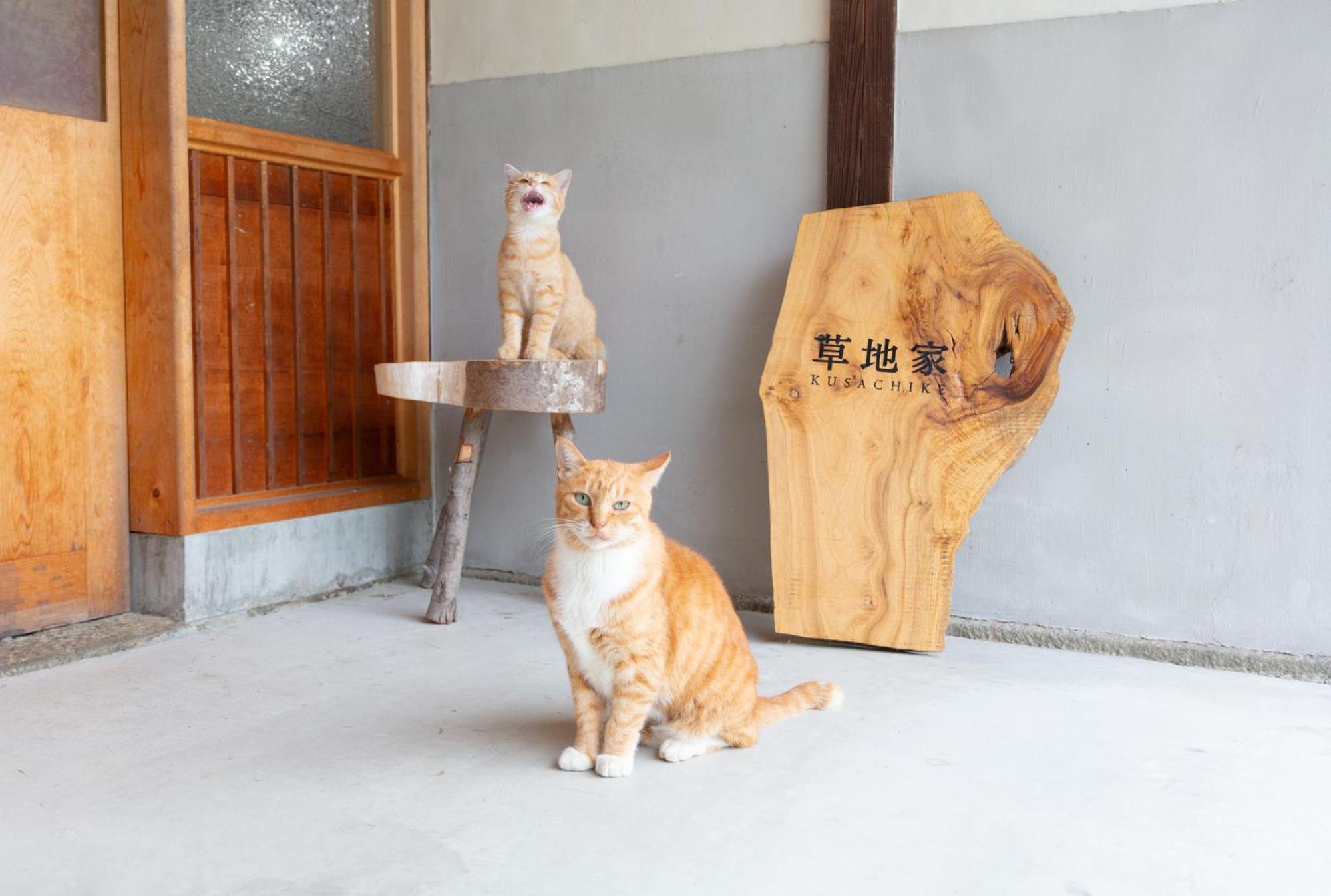 猫と図書館のある宿 草地家 Kusachike Minamiawaji Extérieur photo
